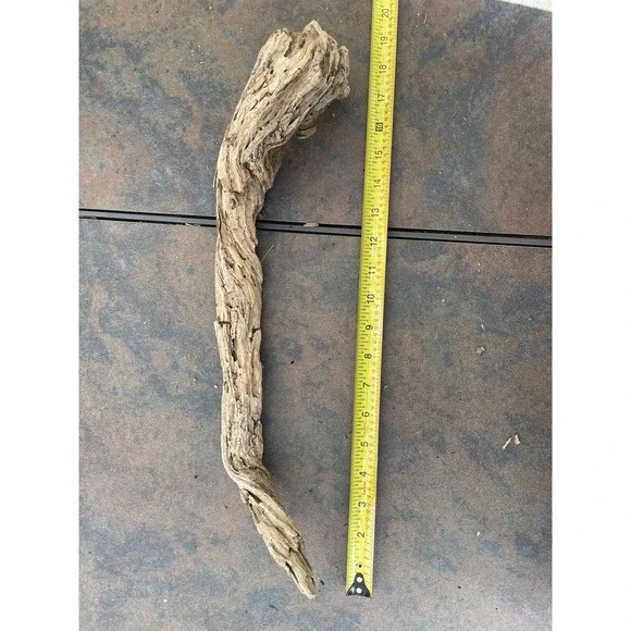 Natural Driftwood for Plants Terrarium Taxidermy Art Projects - Picture 3 of 4